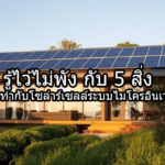 รู้ไว้ไม่พัง กับ 5 สิ่งที่ไม่ควรทำกับโซล่าร์เซลล์ระบบไมโครอินเวอร์เตอร์